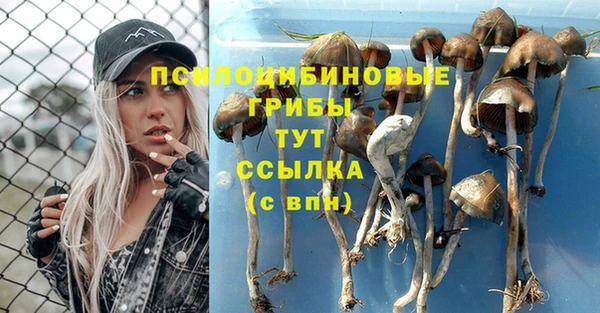 гашик Усмань