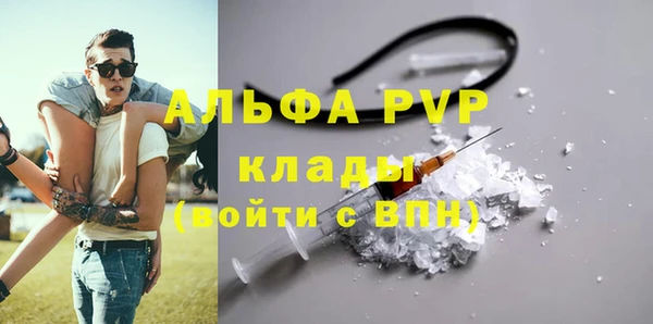 стафф Дмитровск