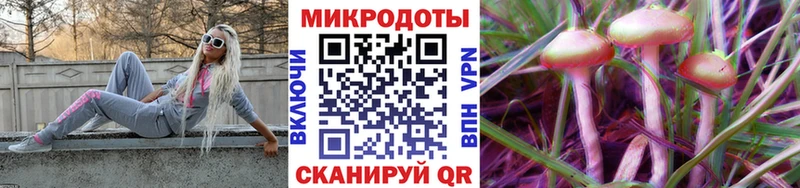 гидра   Няндома  Псилоцибиновые грибы ЛСД 